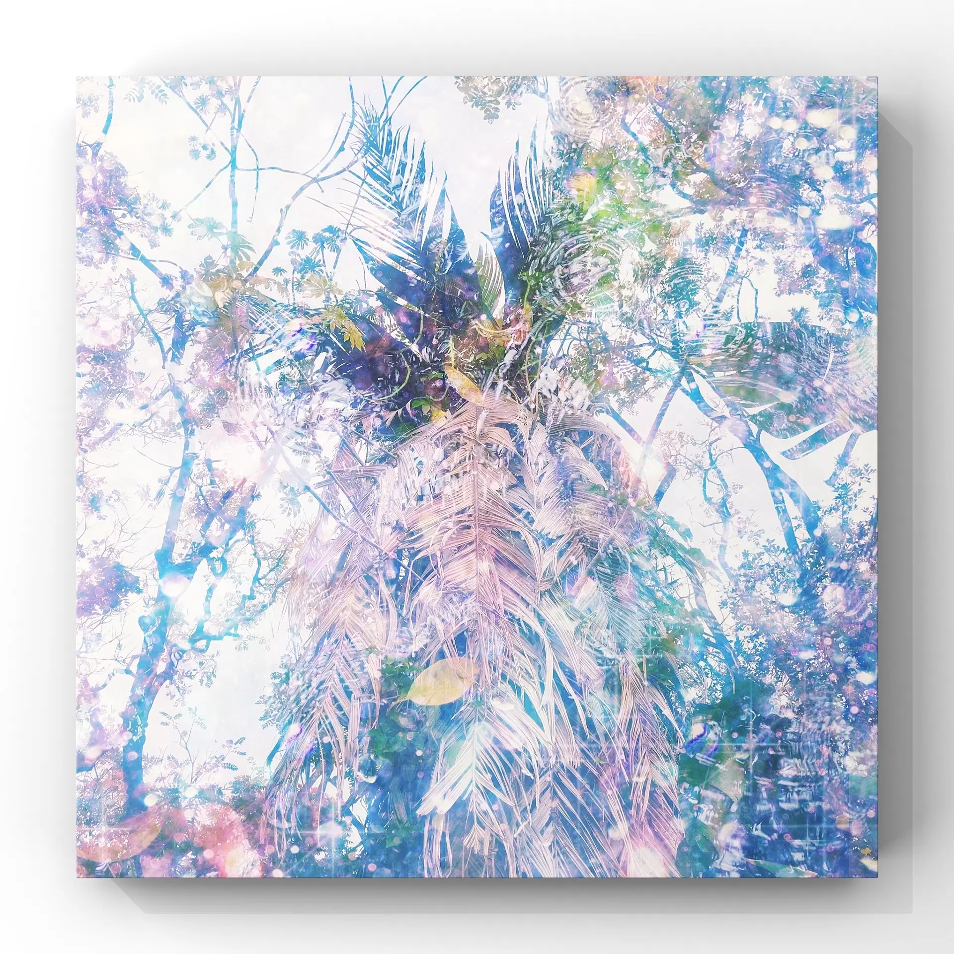 『Ke Aloha o Lono』
