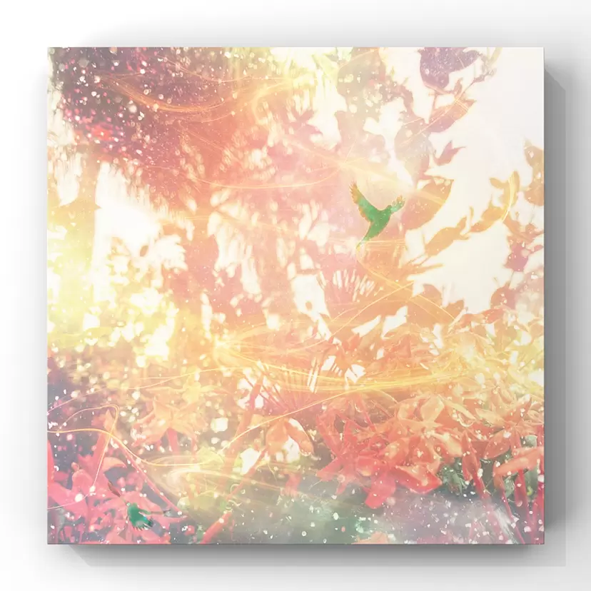 『ʻAhi Hoʻāla』 by Priscilla Lei  (プリシラ・レイ) 