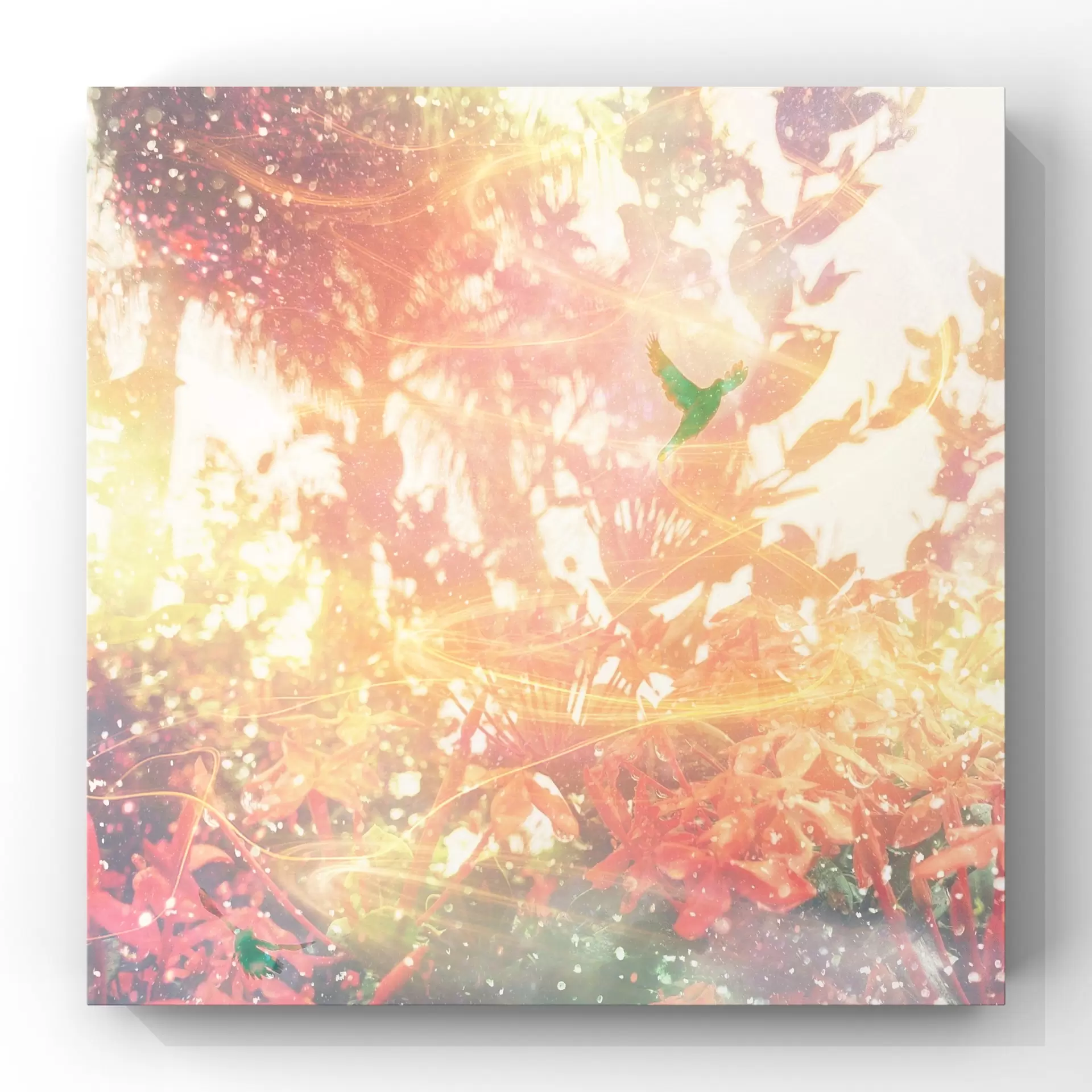『ʻAhi Hoʻāla』