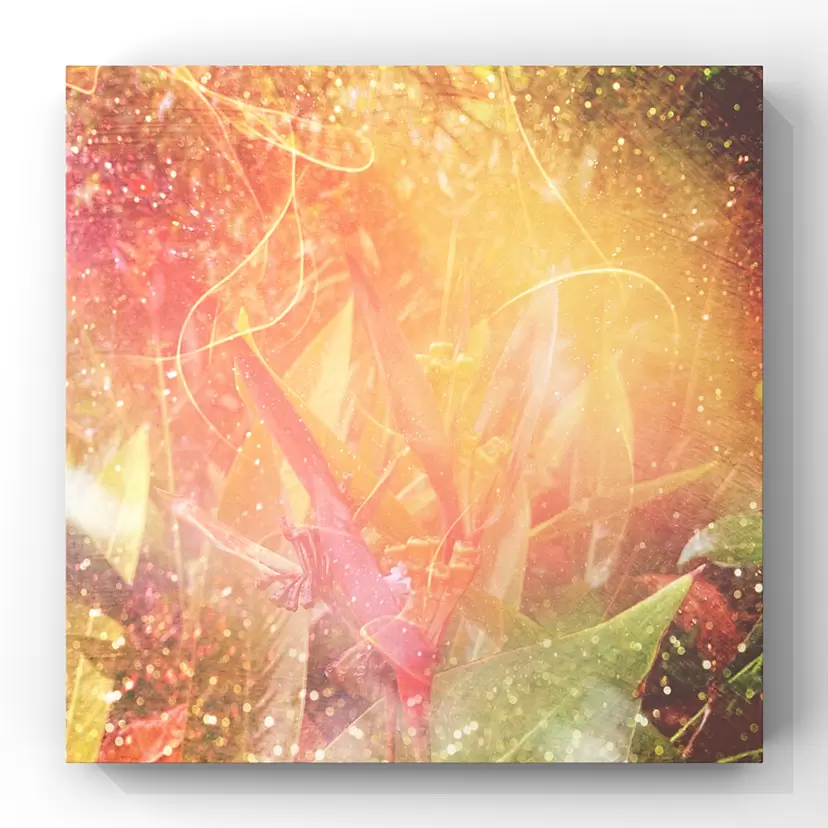 値下げセール⭐︎絵画⭐︎アート 絵画 paintingのアート作品 | 現代アートの販売・通販