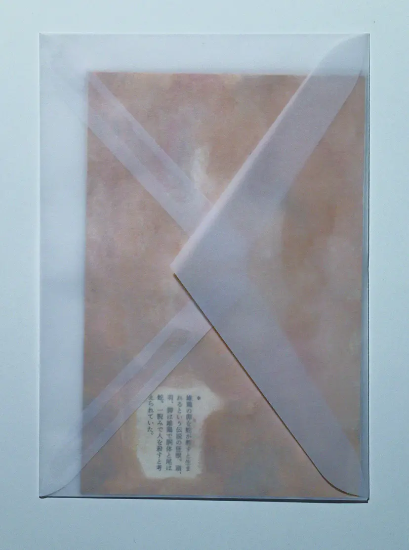 《letter》関根ひかり by Project le Bosquet