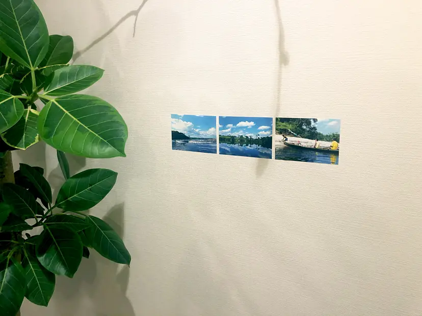 《Where is it? I can’t see. (Rio Negro)》黒沢聖覇 by Project le Bosquet
