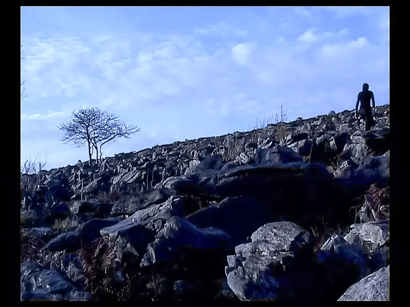The Climb (Ireland) by Suzanne Mooney