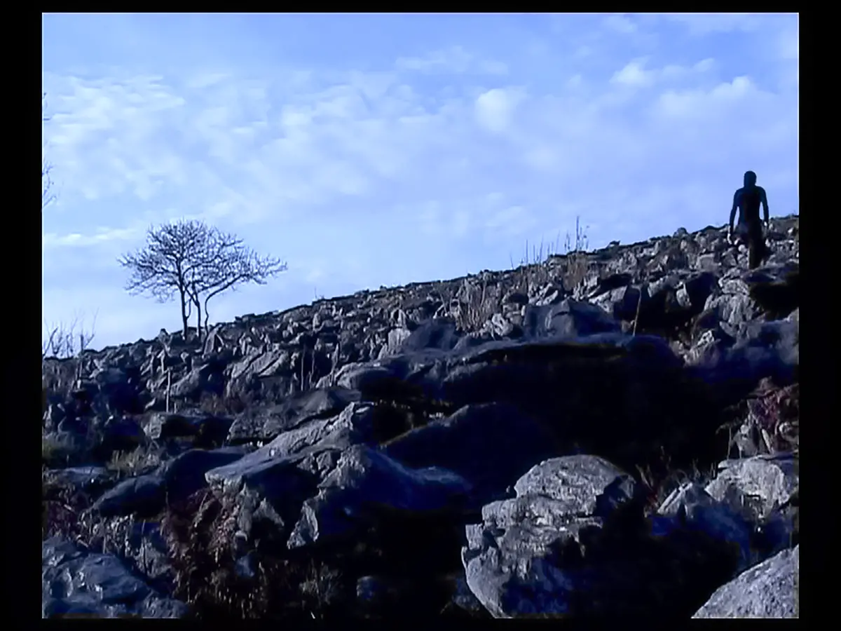 The Climb (Ireland)