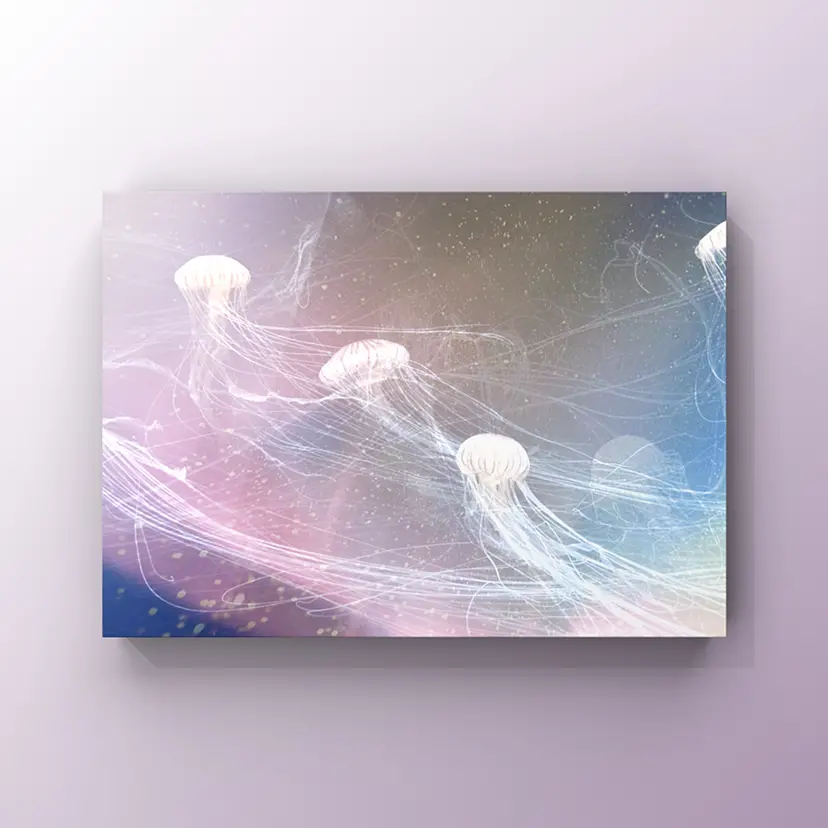 space ambient music by Priscilla Lei 