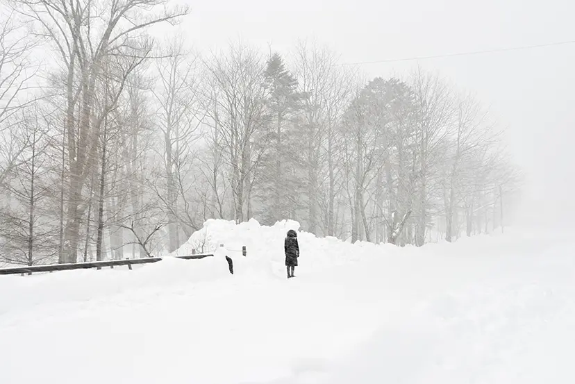 Blizzard (Nikko) by Suzanne Mooney