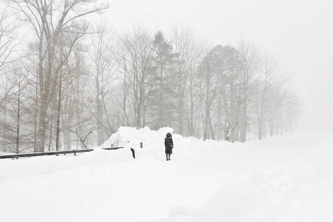 Blizzard (Nikko)
