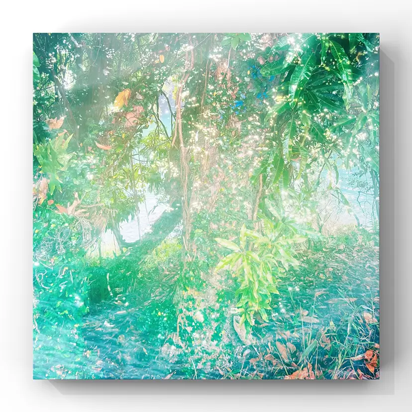 写真のアート作品 | 現代アートの販売・通販 | ArtSticker（アートス