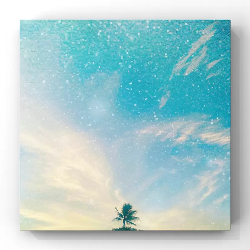 『ʻŌlelo o ke Lani』 by Priscilla Lei  (プリシラ・レイ) 