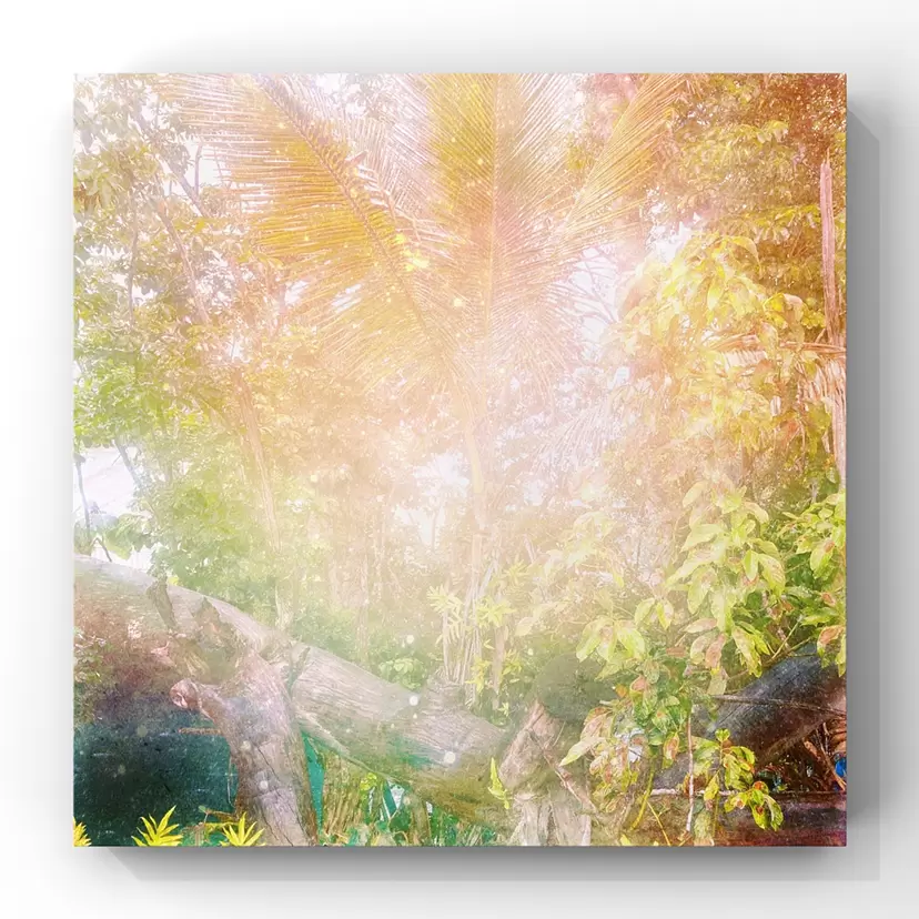 『Hā o ka Honua』 by Priscilla Lei  (プリシラ・レイ) 