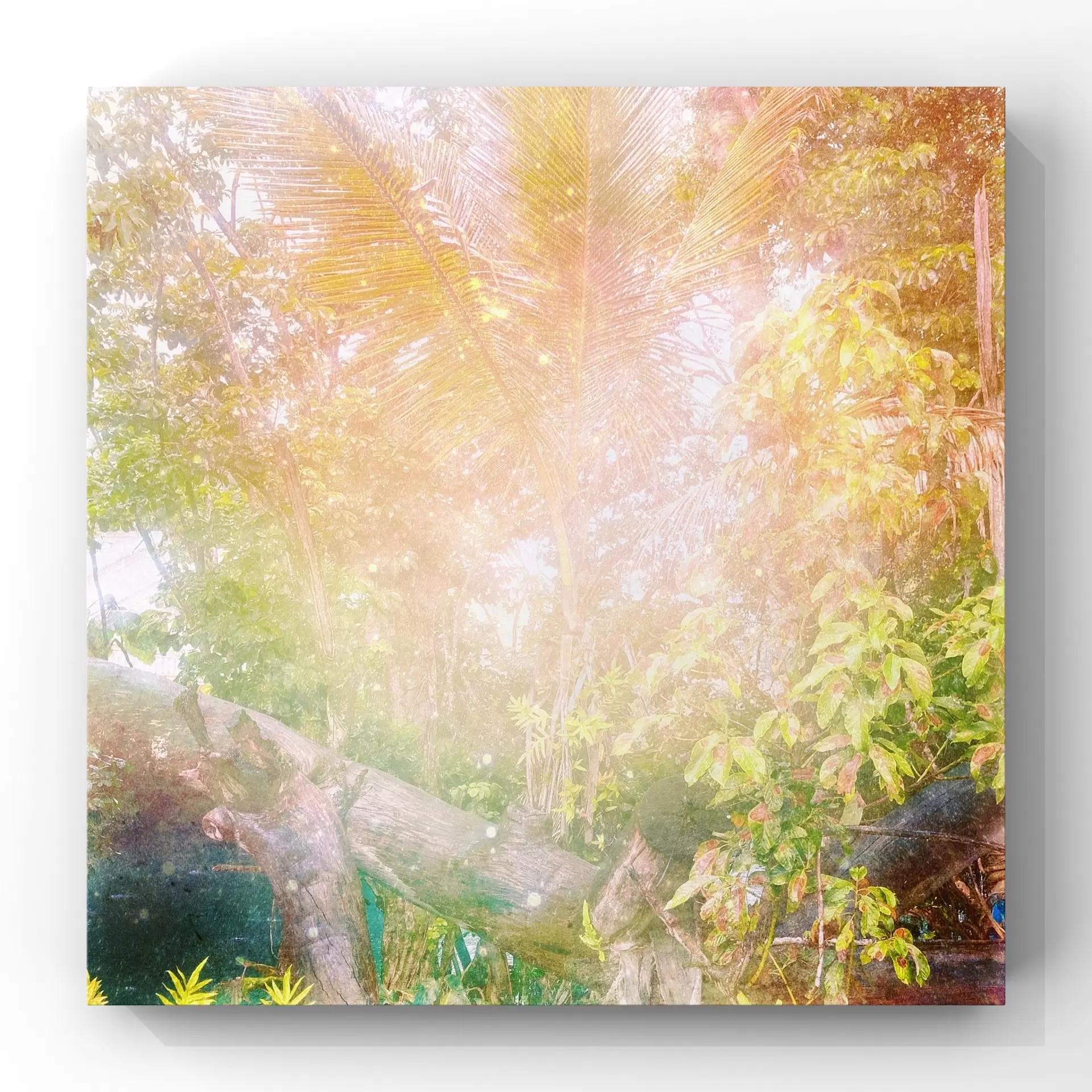 『Hā o ka Honua』