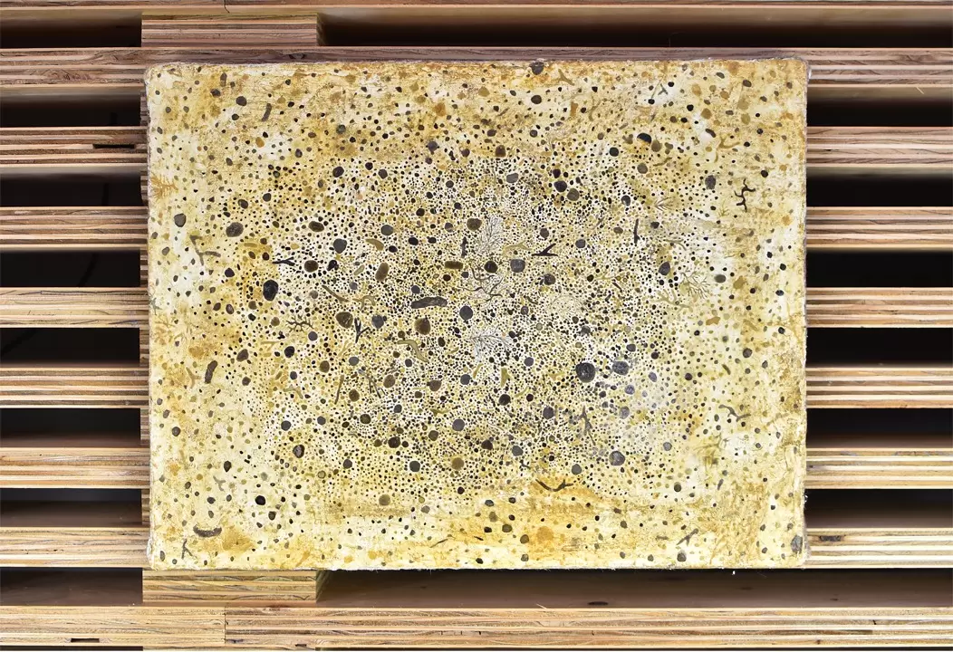 Soil