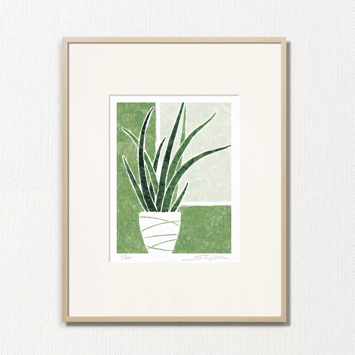 Sansevieria (CP-006-4, half cut)