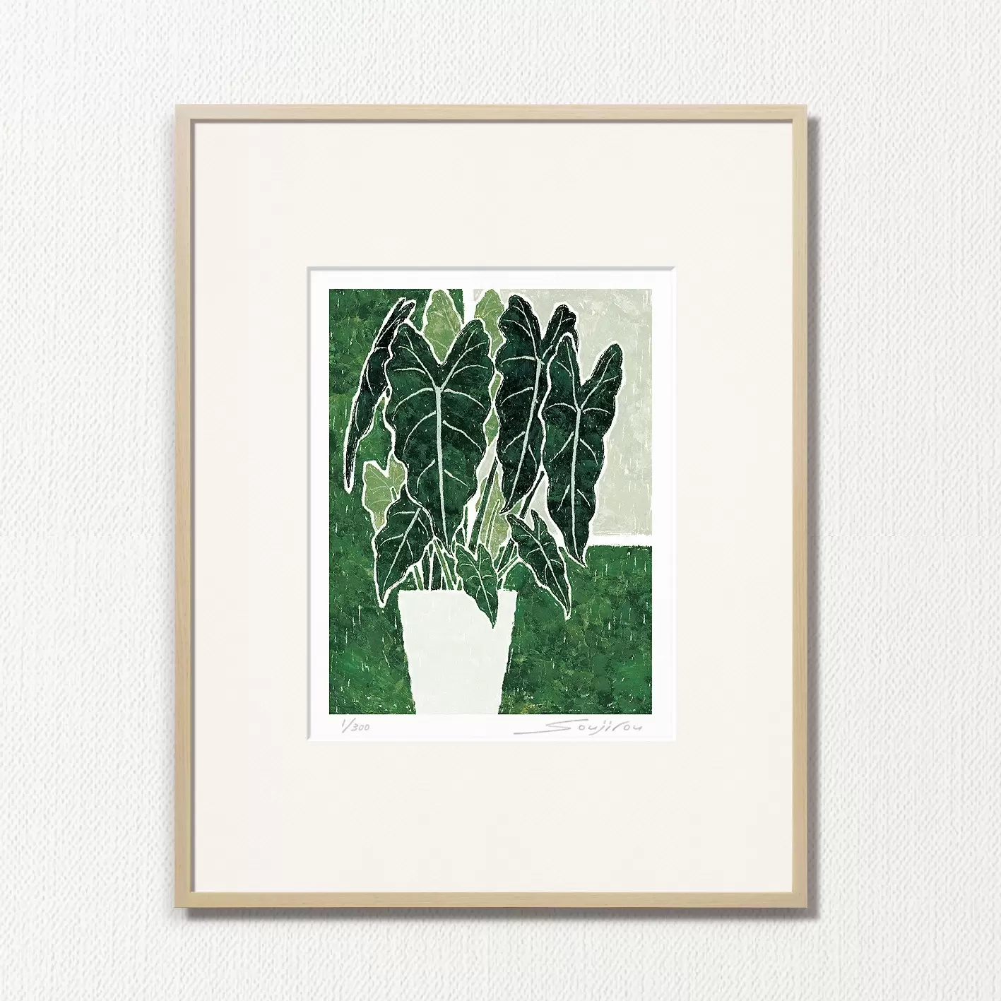 Alocasia green velvet (CP-009-4, half cut)