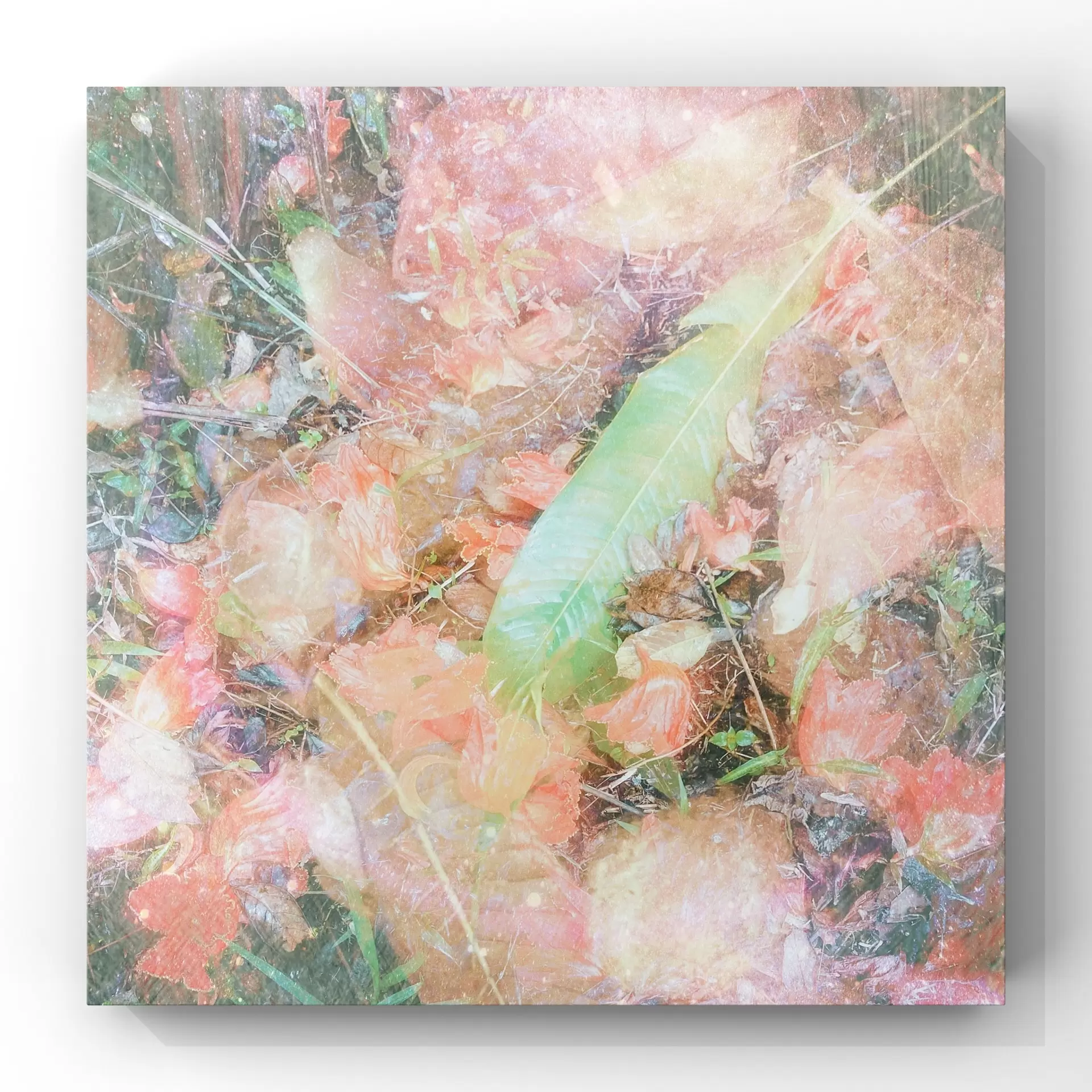 『Hoʻomanaʻo i ka Piko』