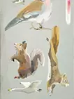 それぞれの場所に行く