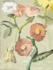 花に来た虫