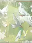 鳥