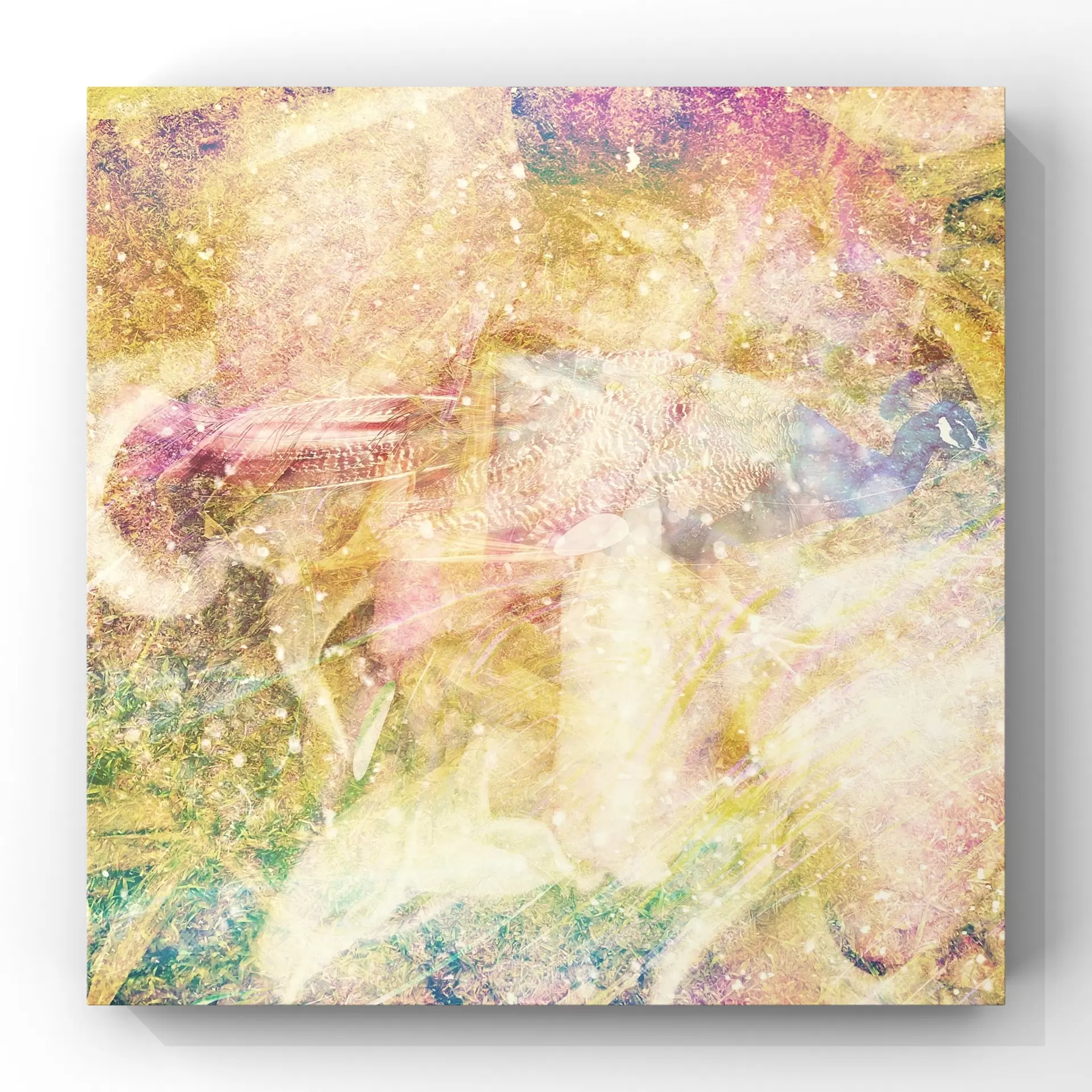 『Hoʻokupu Hāʻaheo』