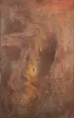 脱殻の輝き