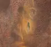 脱殻の輝き
