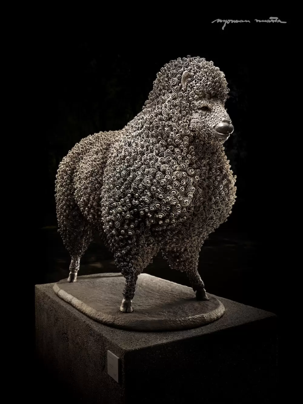 Miss Wooly II