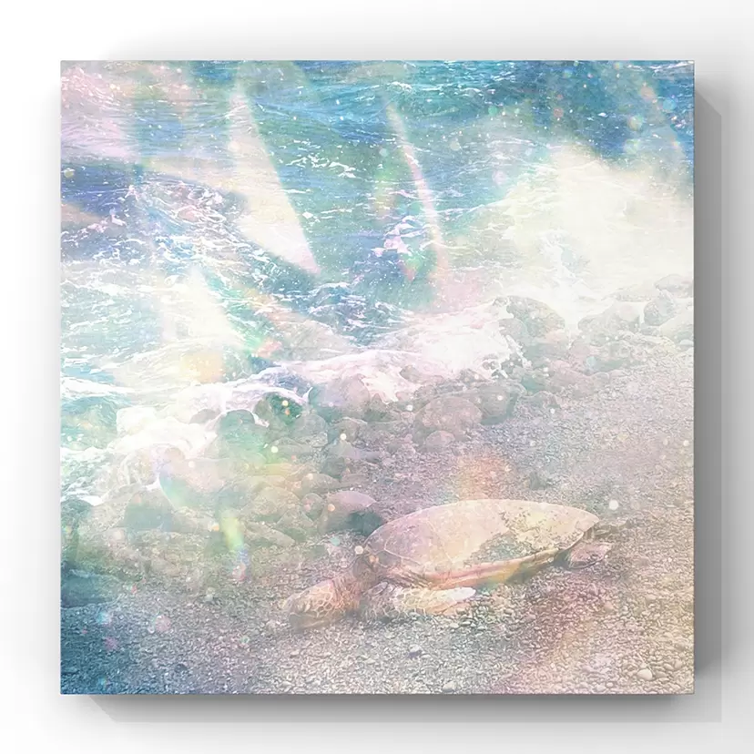 コンセプチュアルのアート作品 | 現代アートの販売・通販 | ArtSticker