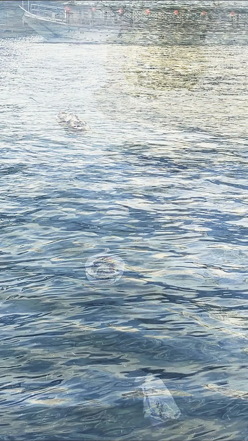 もうすぐ海になる (Ayasa MItsui Work 2008-2020) by 三井 彩紗 Ayasa Mitsui