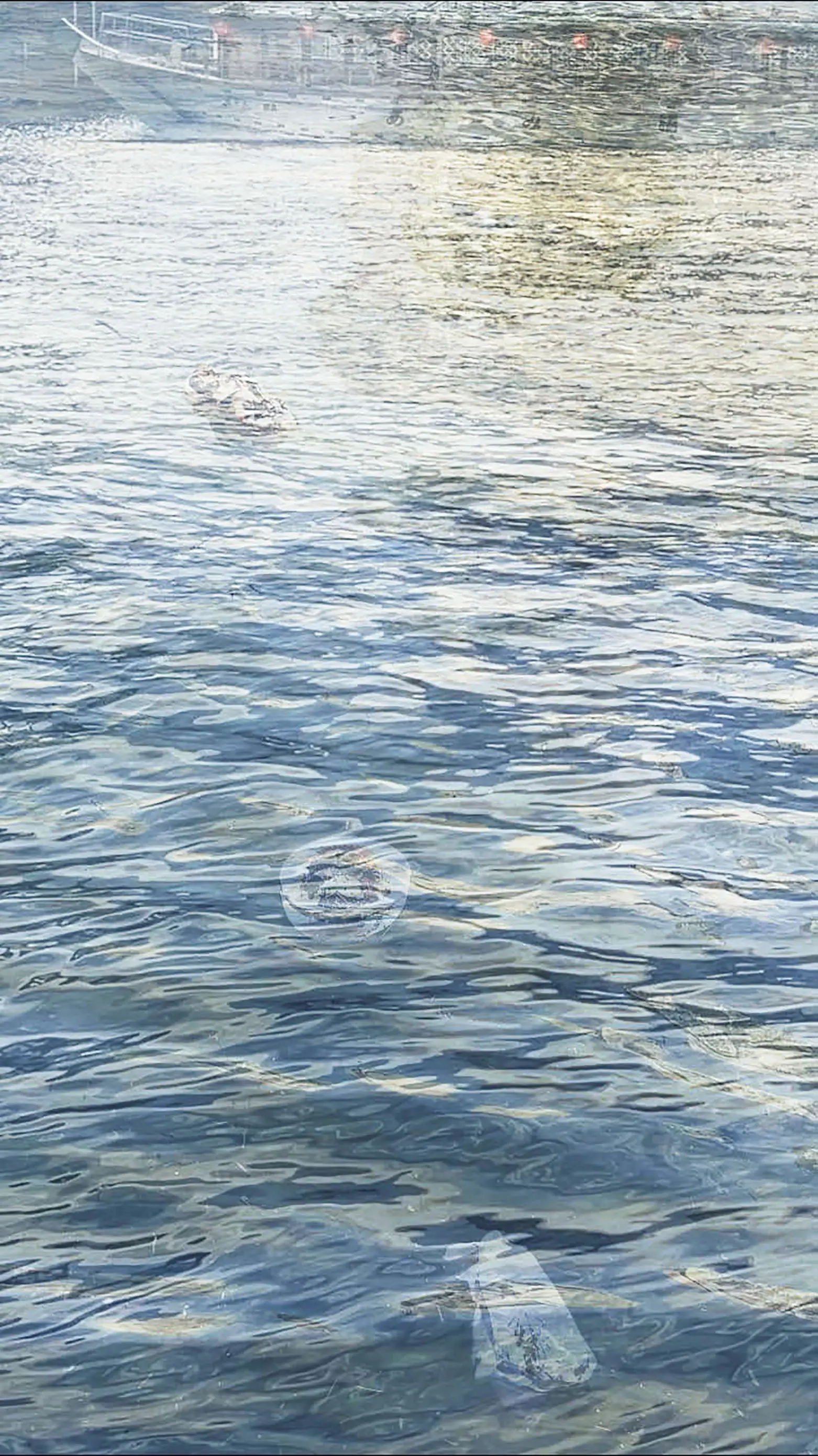 もうすぐ海になる (Ayasa MItsui Work 2008-2020)