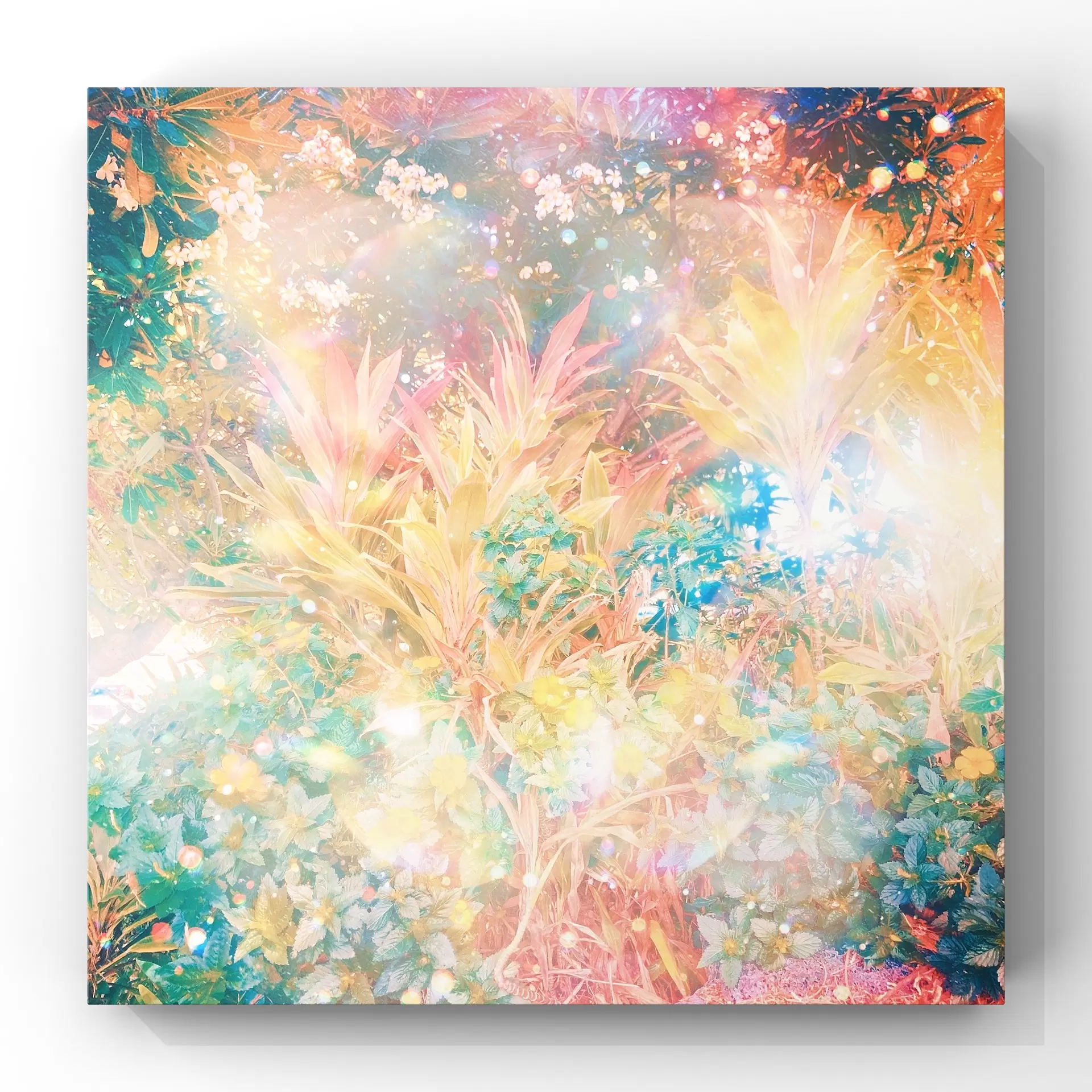 『ʻOhana』