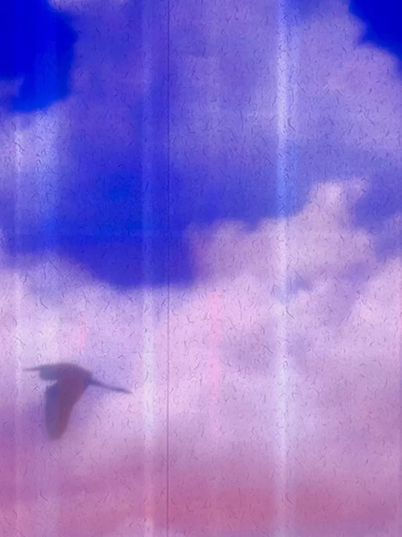 写真のアート作品 | 現代アートの販売・通販 | ArtSticker（アートス