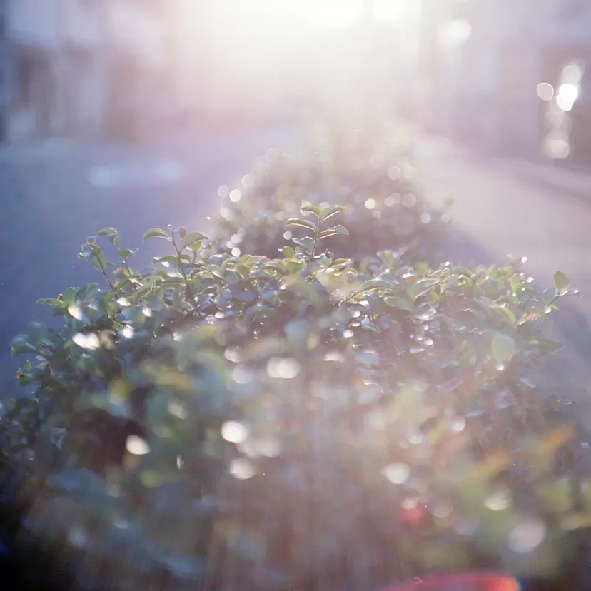 写真のアート作品 | 現代アートの販売・通販 | ArtSticker（アートス