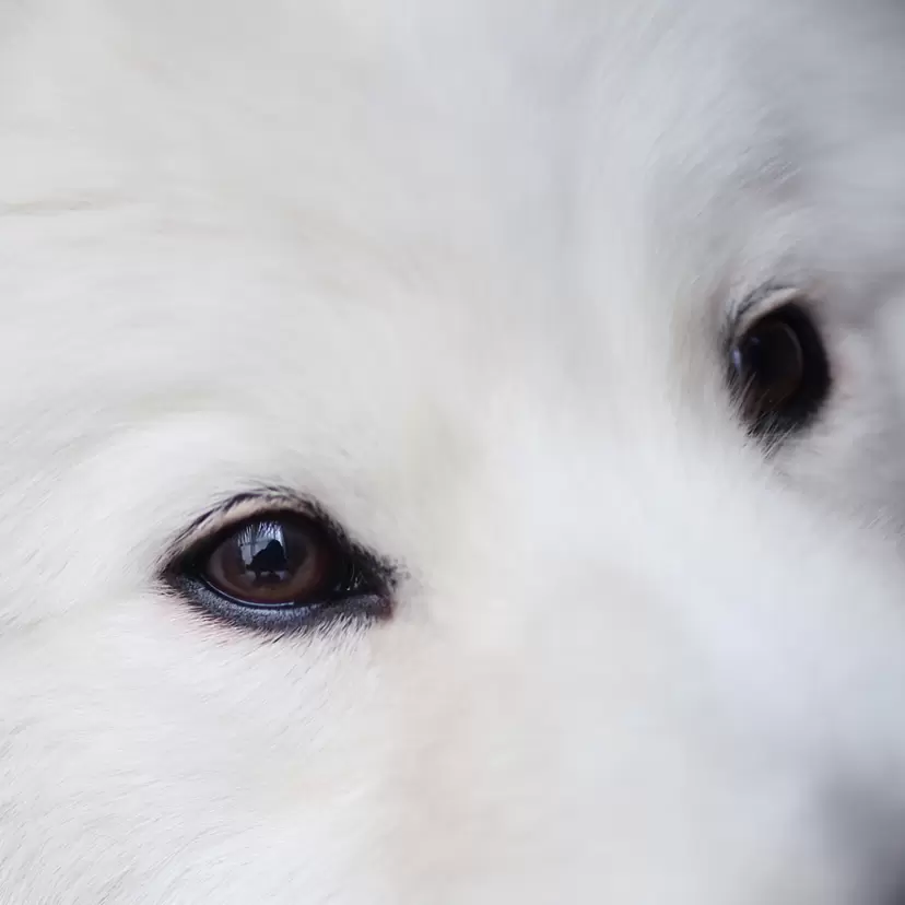 写真のアート作品 | 現代アートの販売・通販 | ArtSticker（アートス