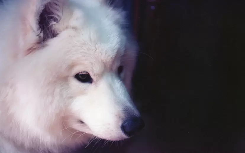 サインありのアート作品 | 現代アートの販売・通販 | ArtSticker