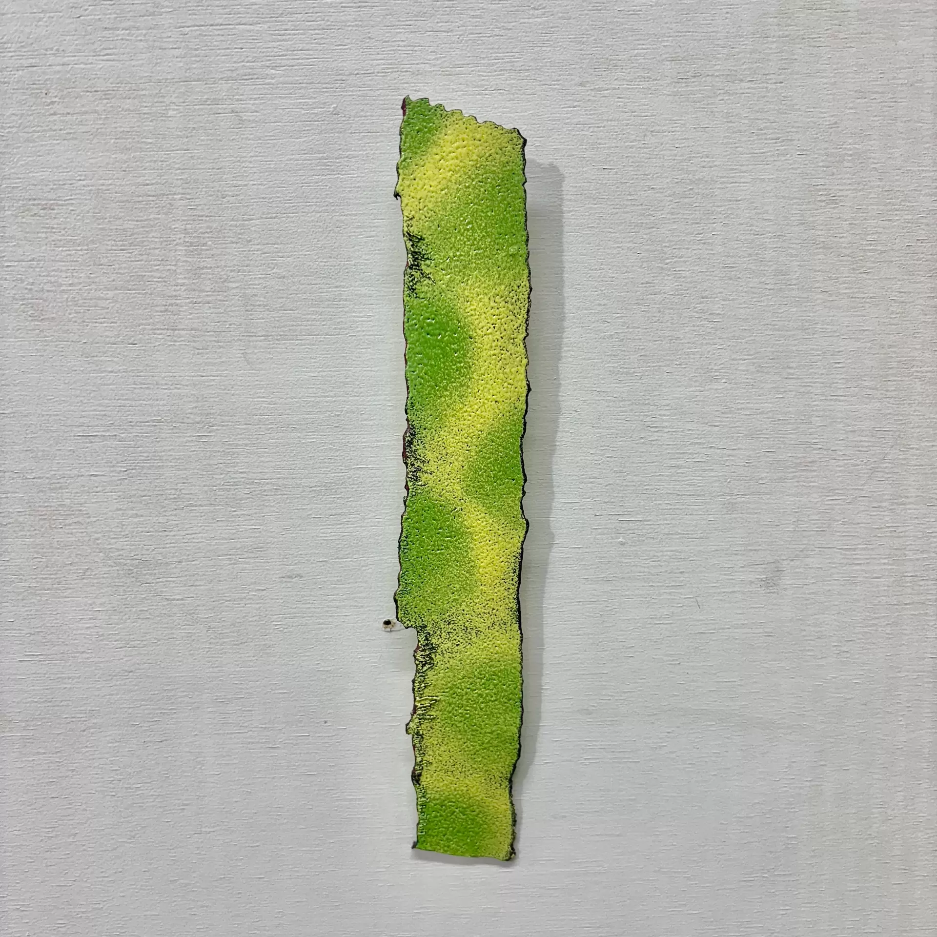 stick(dinosaur)