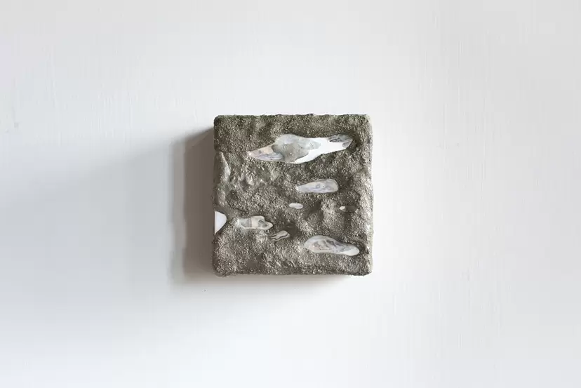 水泥的珍珠母留痕I / Cement and Shell I by 張庭溦
