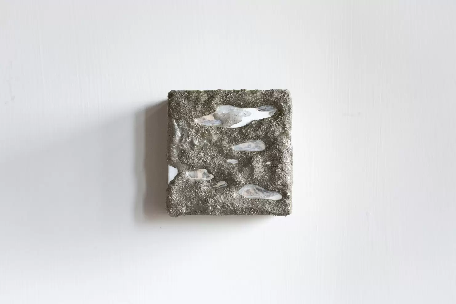 水泥的珍珠母留痕I / Cement and Shell I