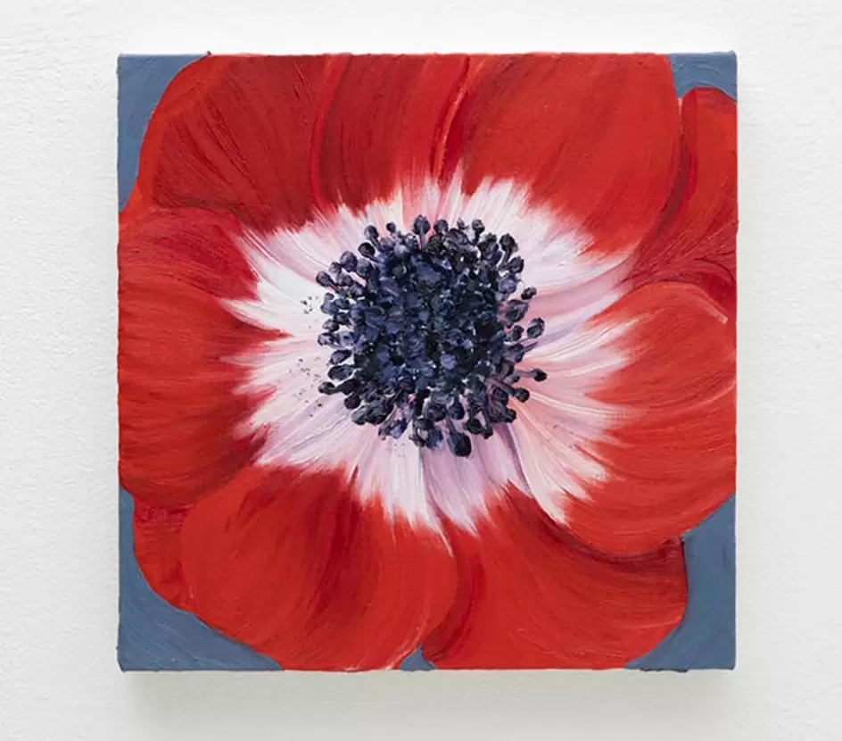 anemone