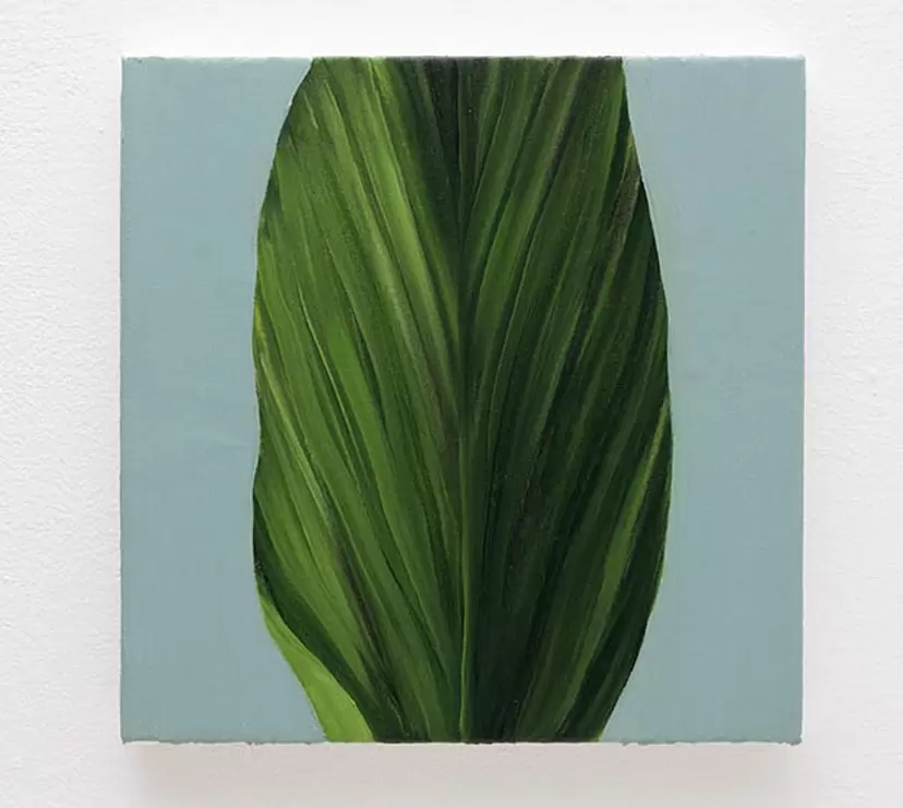 leaf by Asuka Yokono