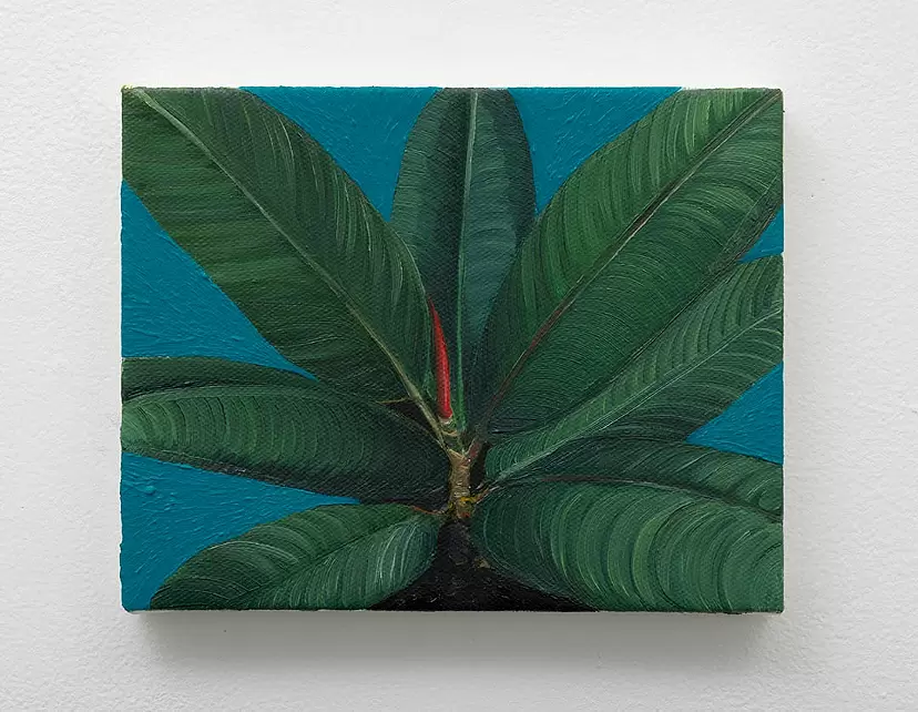 tree sprout by Asuka Yokono