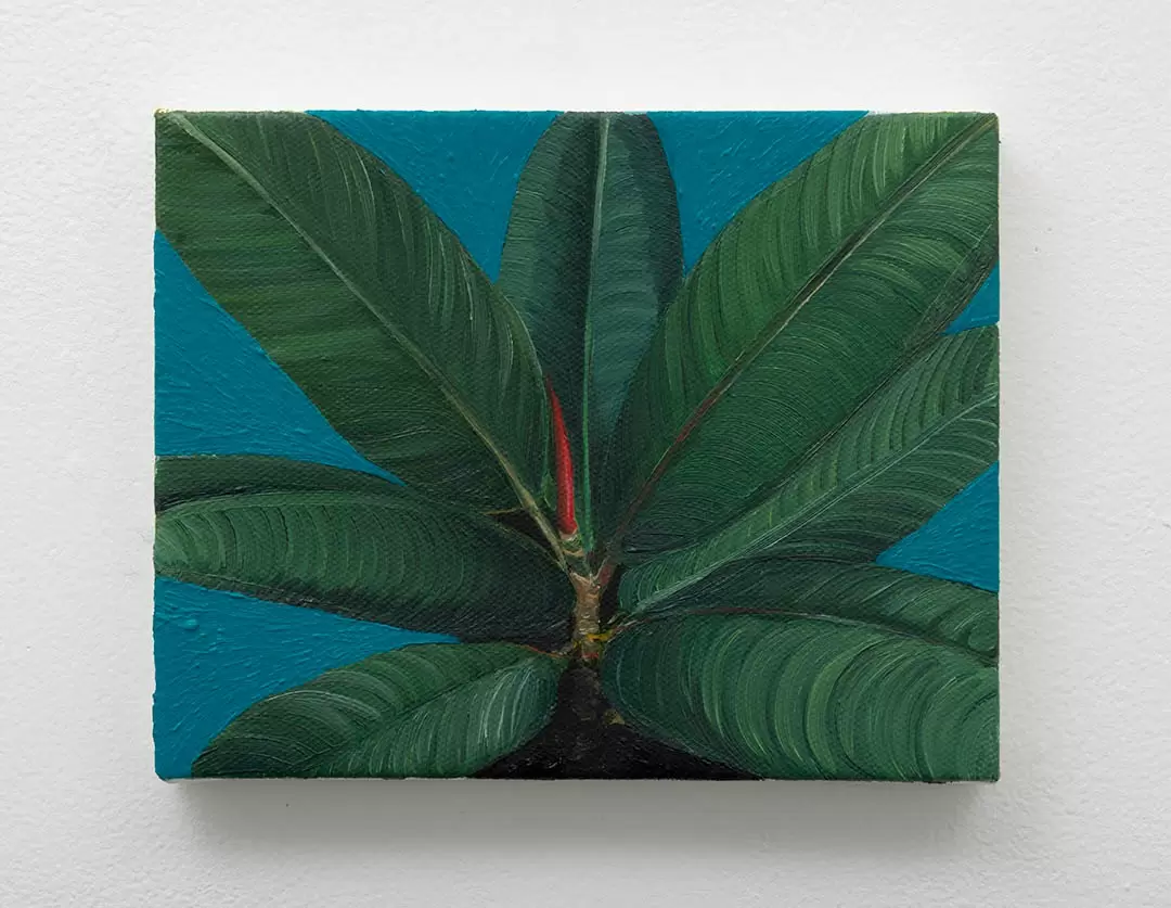 tree sprout