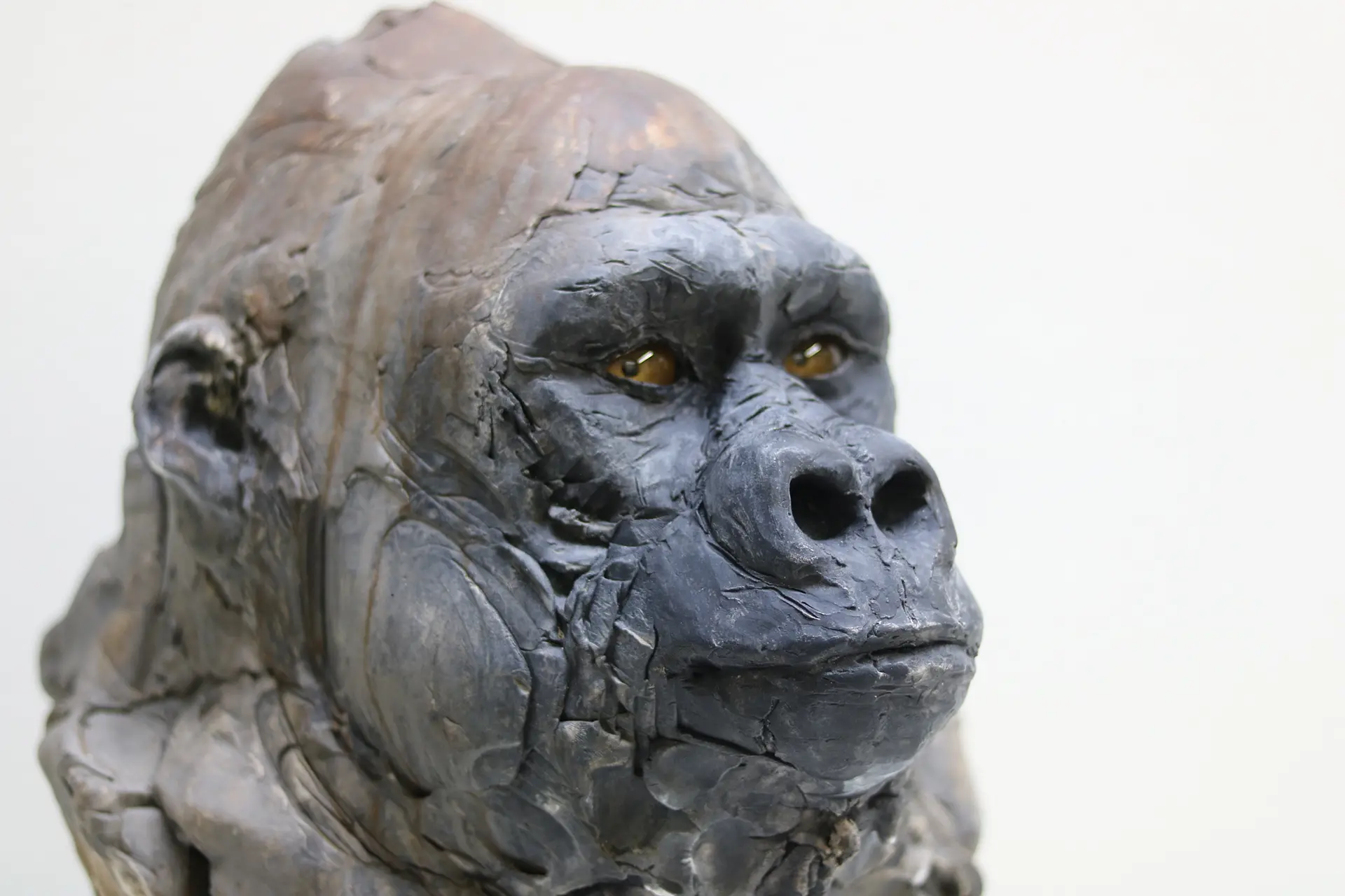 水源-ニシローランドゴリラ- by 瀬戸優 | Online art store for