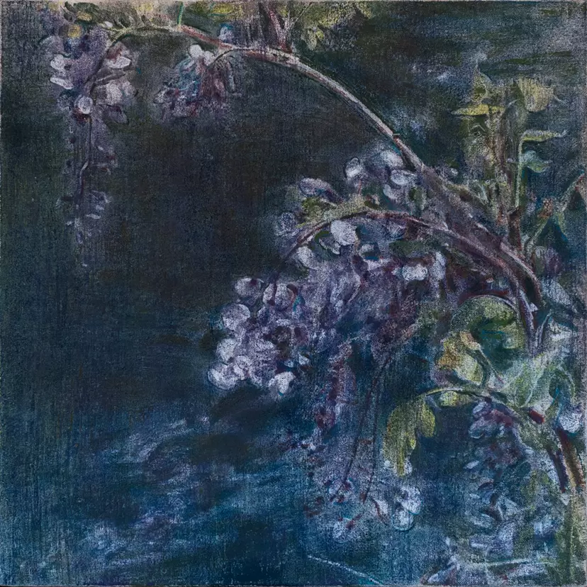 Wisteria in the valley by Arika Omachi