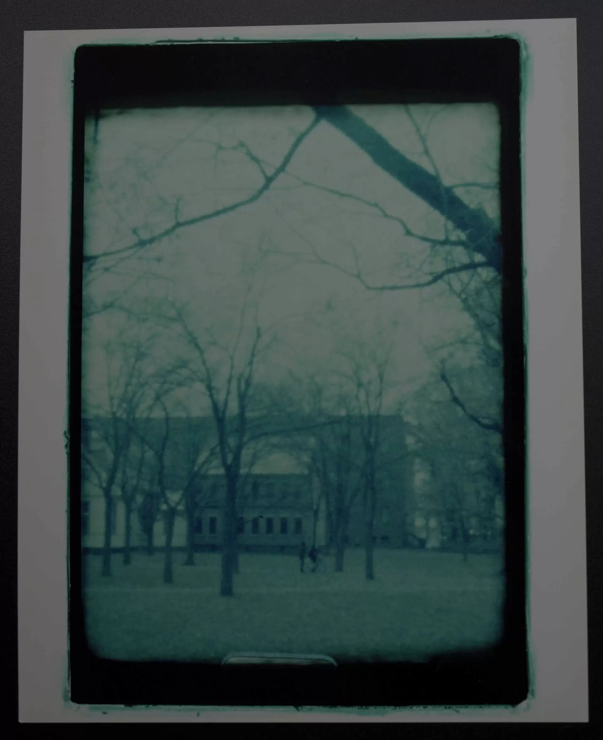 Sapporo,2009