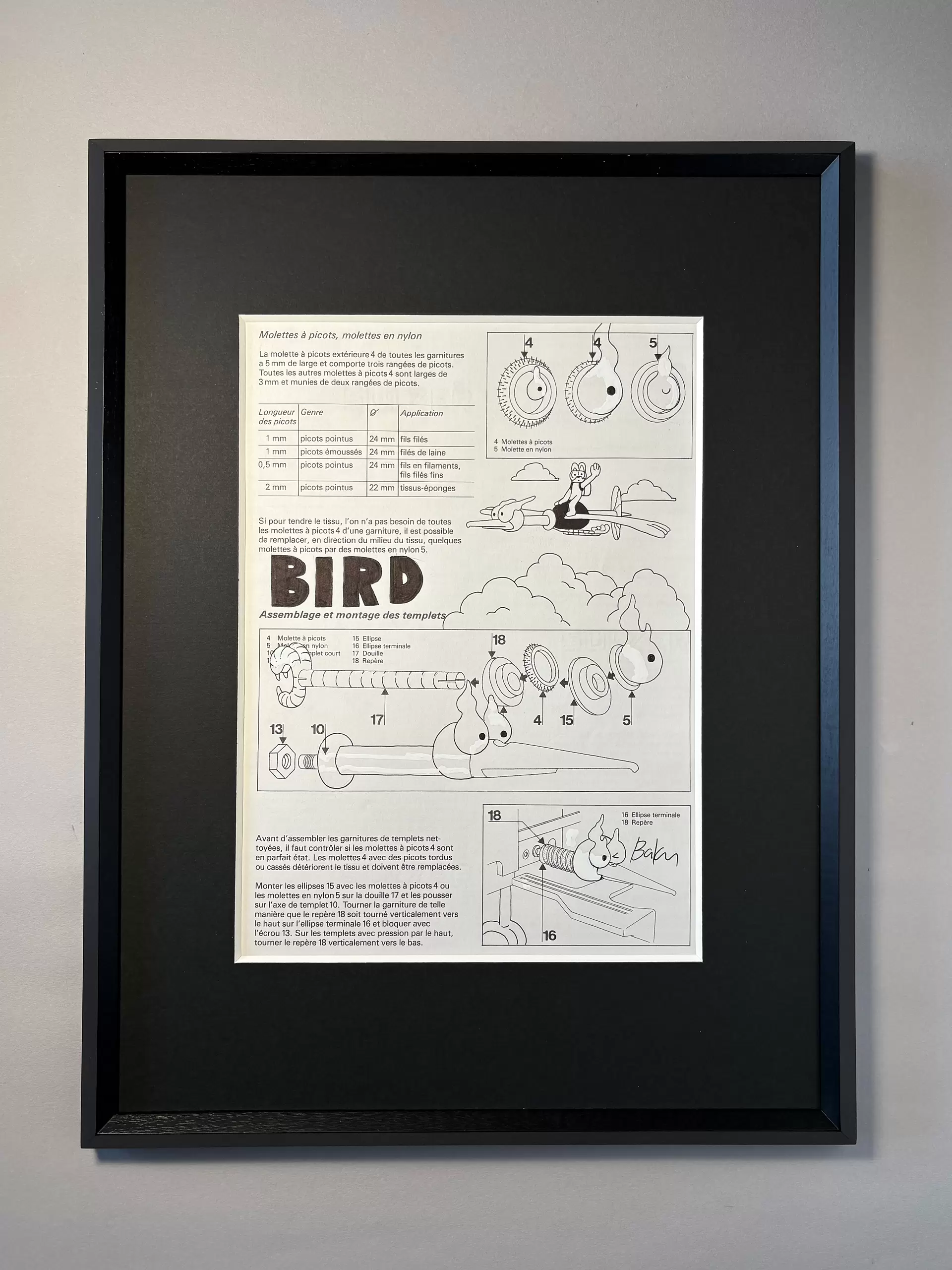 BIRD