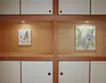 海豚＃3