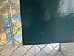 「描」