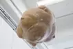 「プラネット(PLANET)」