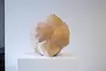 「プラネット(PLANET)」