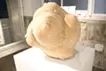 「プラネット(PLANET)」